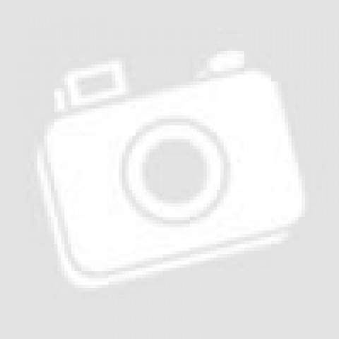 Thermometer Hygrometer Movement 100mm 